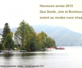 bonne année 2015